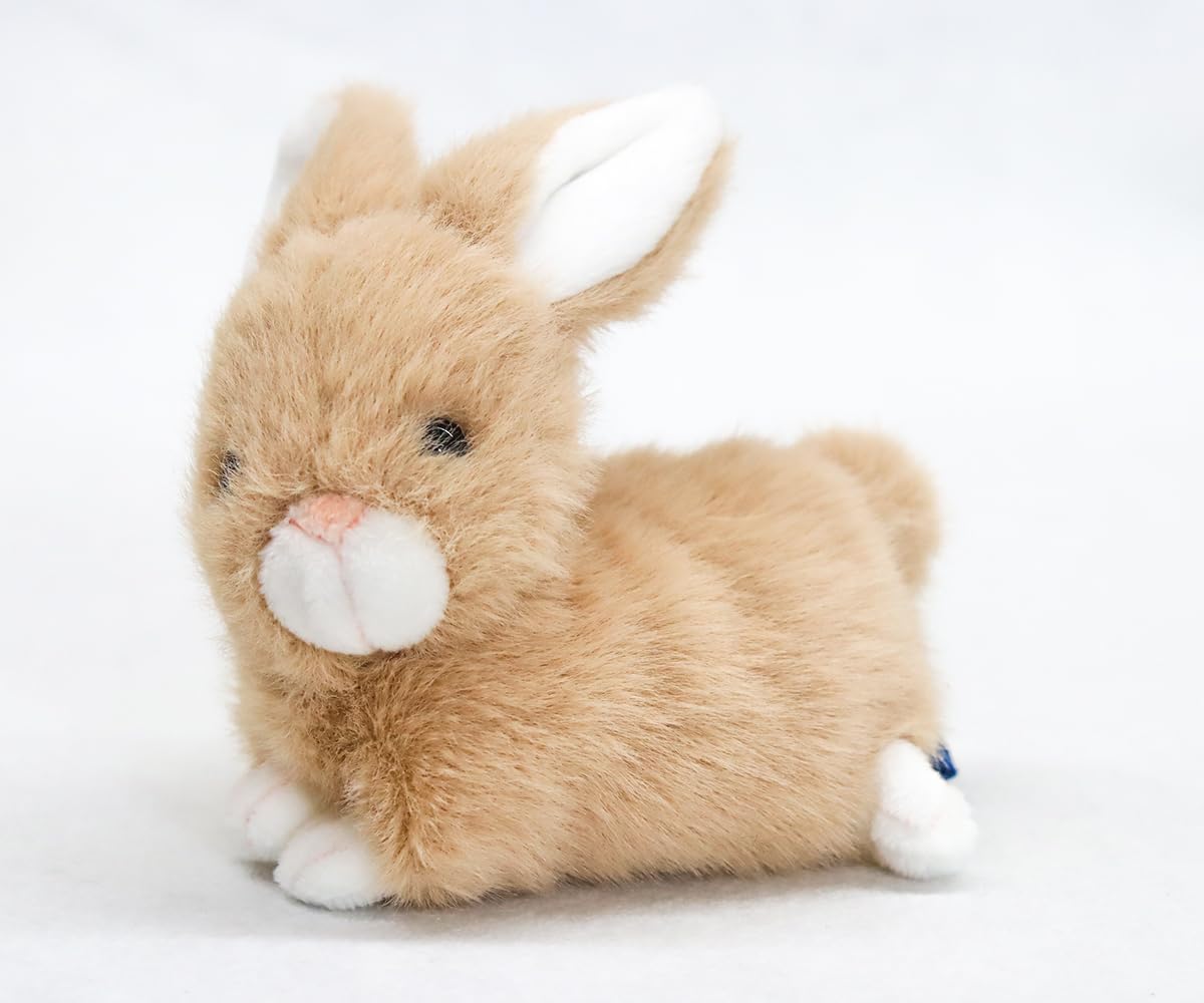 Amazon.co.jp: テイクオフ プチ ラパン(うさぎ)ベージュ : おもちゃ Amazon.co.jp: テイクオフ プチ ラパン(うさぎ)ベージュ : おもちゃ